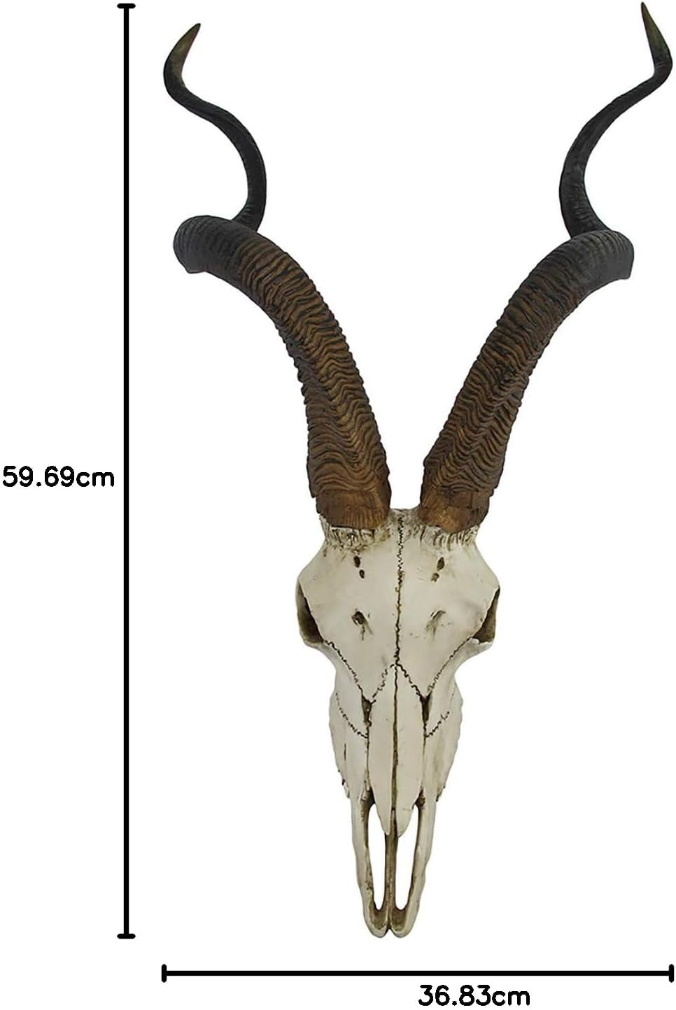 African Kudu Antelope Skull Wall Hanging Cool Twisted Horns