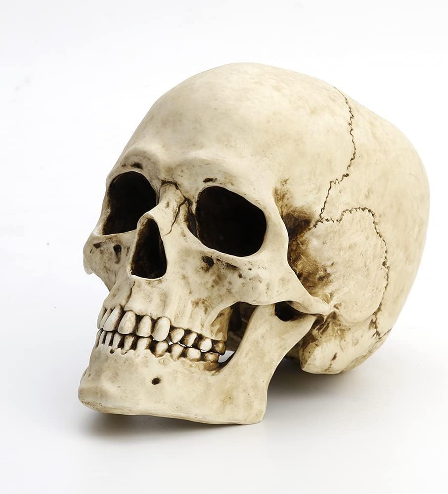 Veronese Design 6 1/4" Tall Human Skull Realistic Resin Sculpture