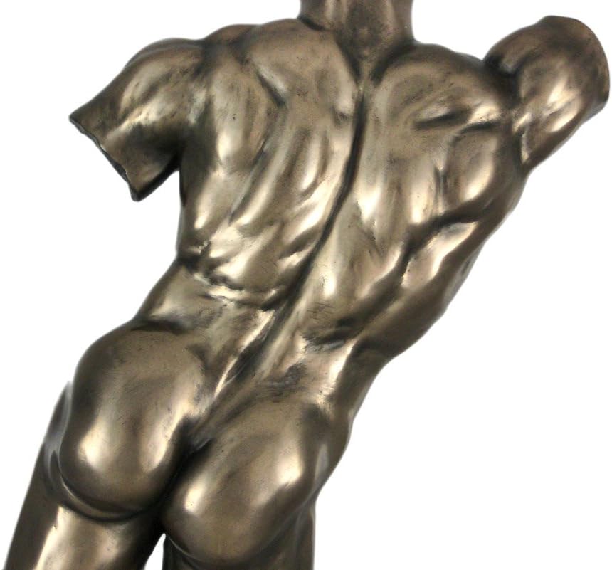 Veronese Design Bronze Finish Nude Male Back Torso Wall Hanging Plaque