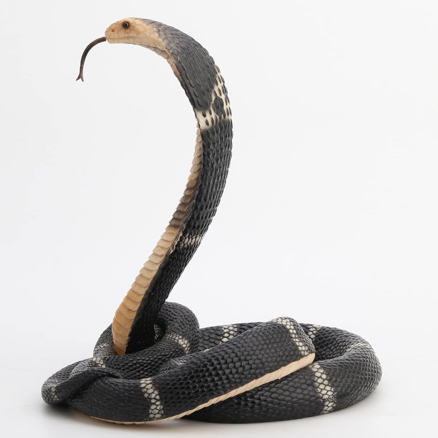 Coiled and Rearing King Cobra Sculptured Statue