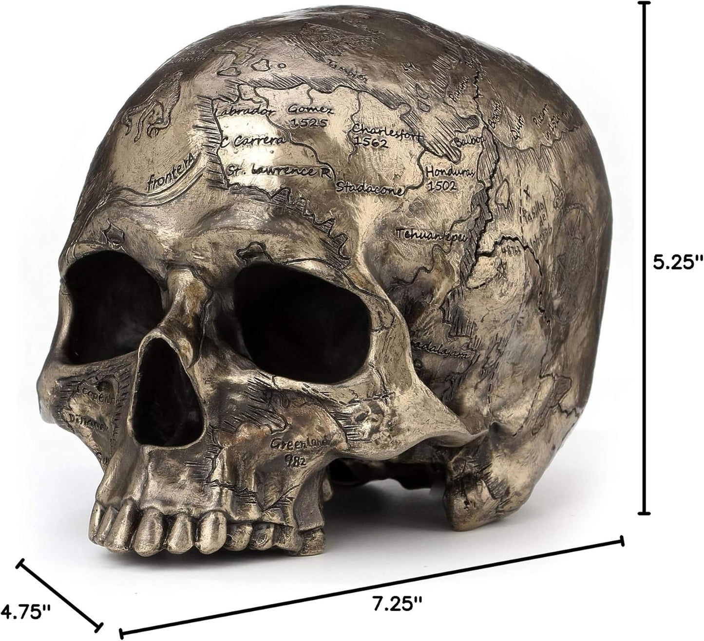 Veronese Design Bronze Finish Craniumography Old Treasure Map On Skull Statue