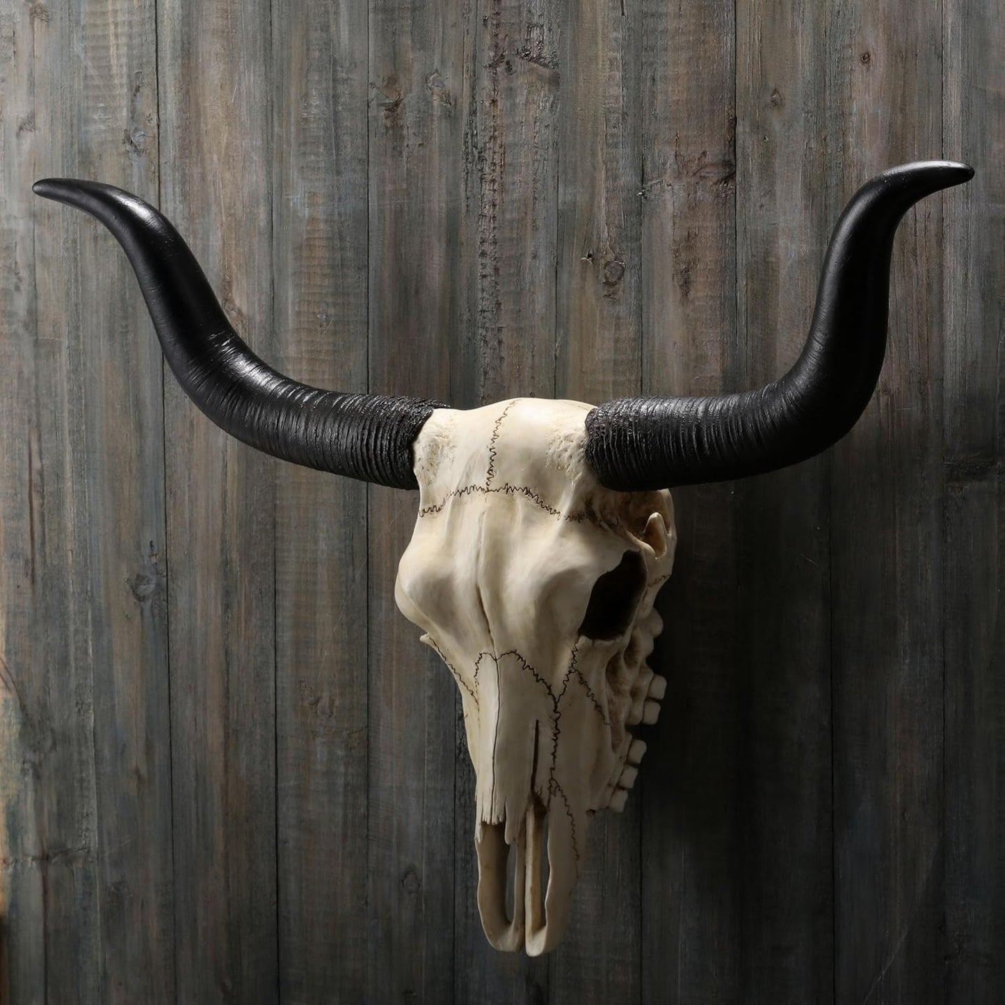 Veronese Design 14 Inch Long Horn Animal Skull Resin Wall Sculpture