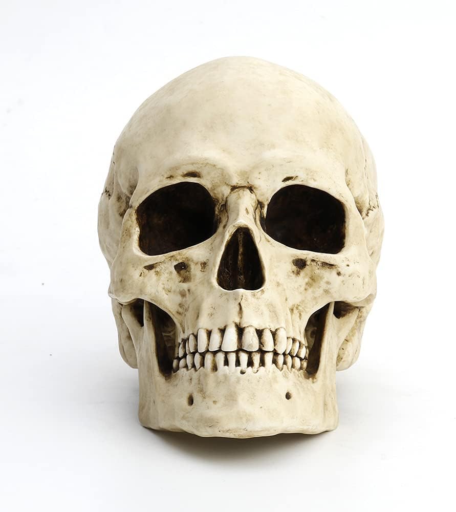 Veronese Design 6 1/4" Tall Human Skull Realistic Resin Sculpture
