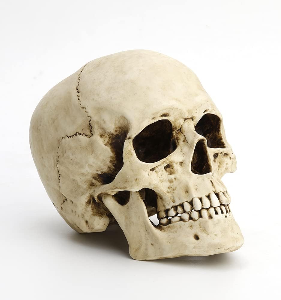 Veronese Design 6 1/4" Tall Human Skull Realistic Resin Sculpture