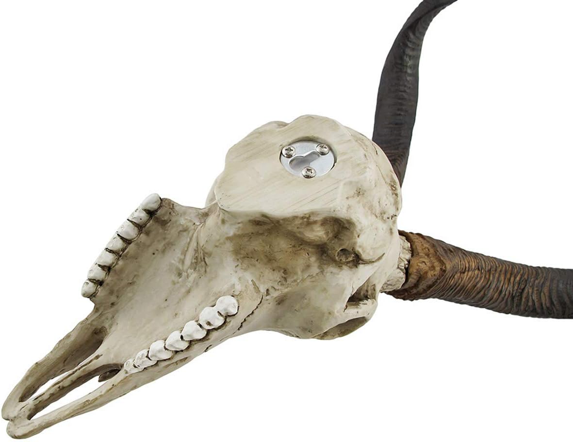 African Kudu Antelope Skull Wall Hanging Cool Twisted Horns
