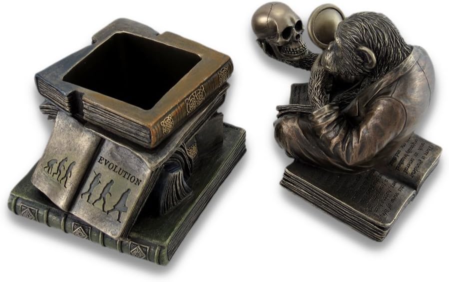 Smart Chimpanzee Scholar Trinket Box Stash Box