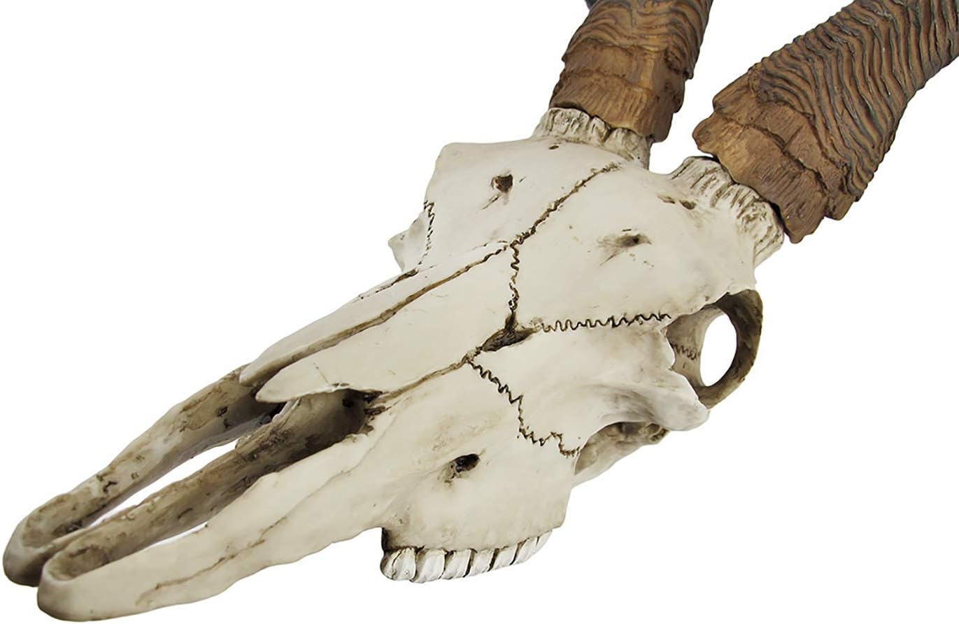 African Kudu Antelope Skull Wall Hanging Cool Twisted Horns