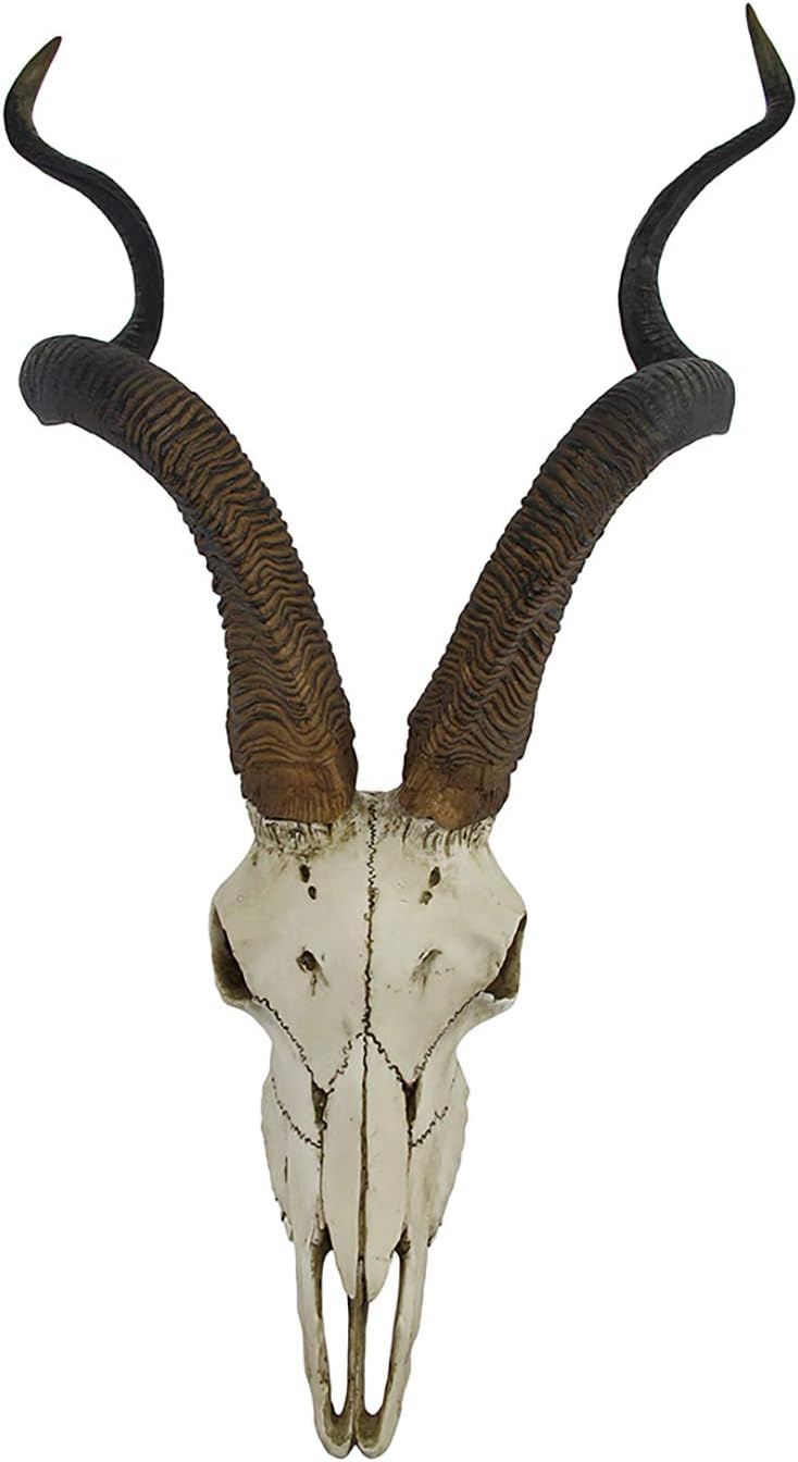 African Kudu Antelope Skull Wall Hanging Cool Twisted Horns