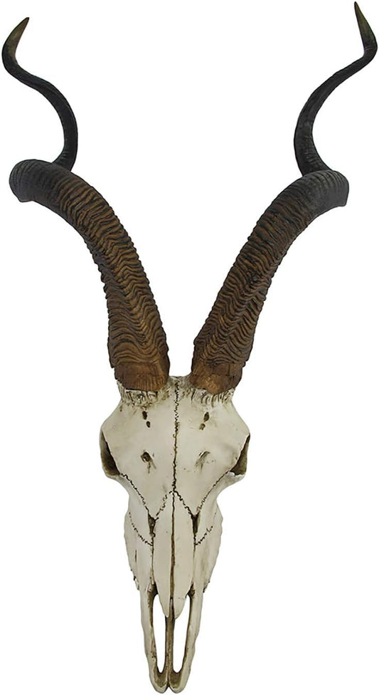 African Kudu Antelope Skull Wall Hanging Cool Twisted Horns