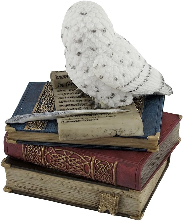 Wise Snow Owl Resting on Scholar`s Books Trinket Box