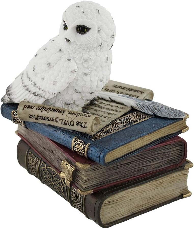 Wise Snow Owl Resting on Scholar`s Books Trinket Box