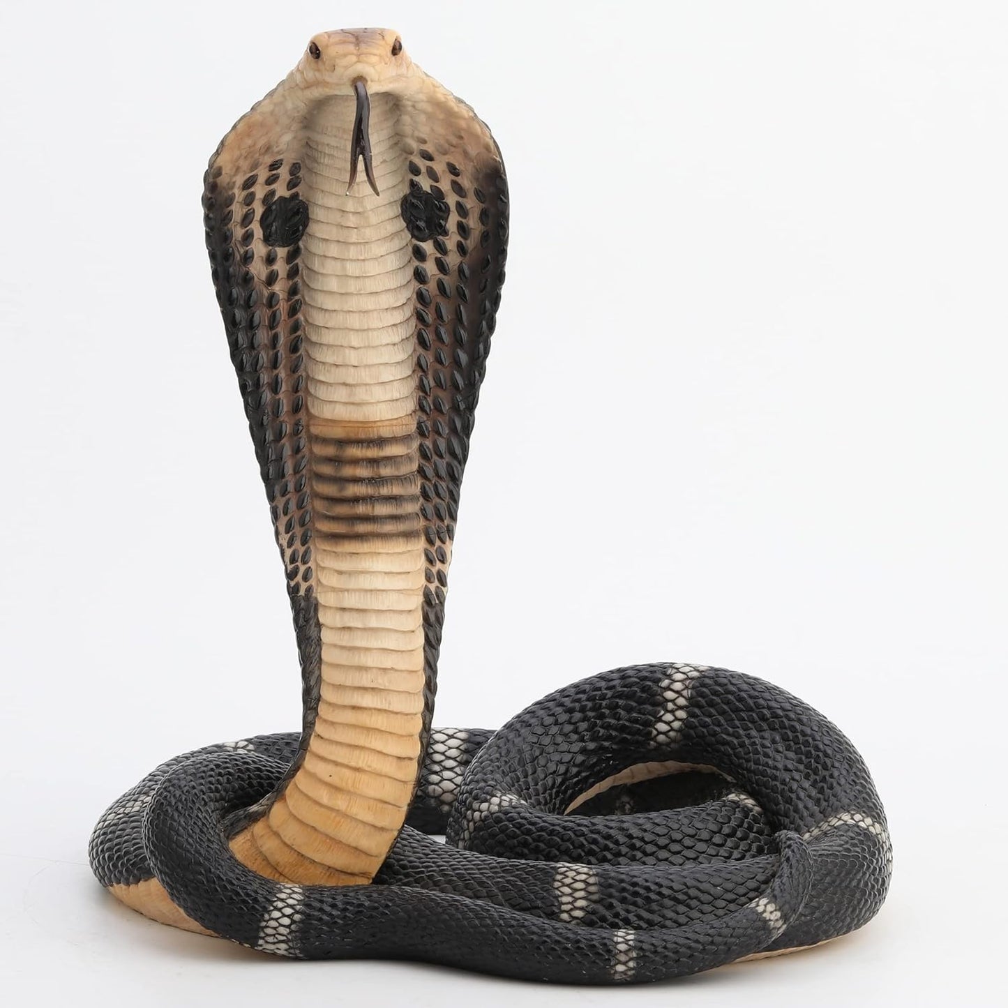 Coiled and Rearing King Cobra Sculptured Statue