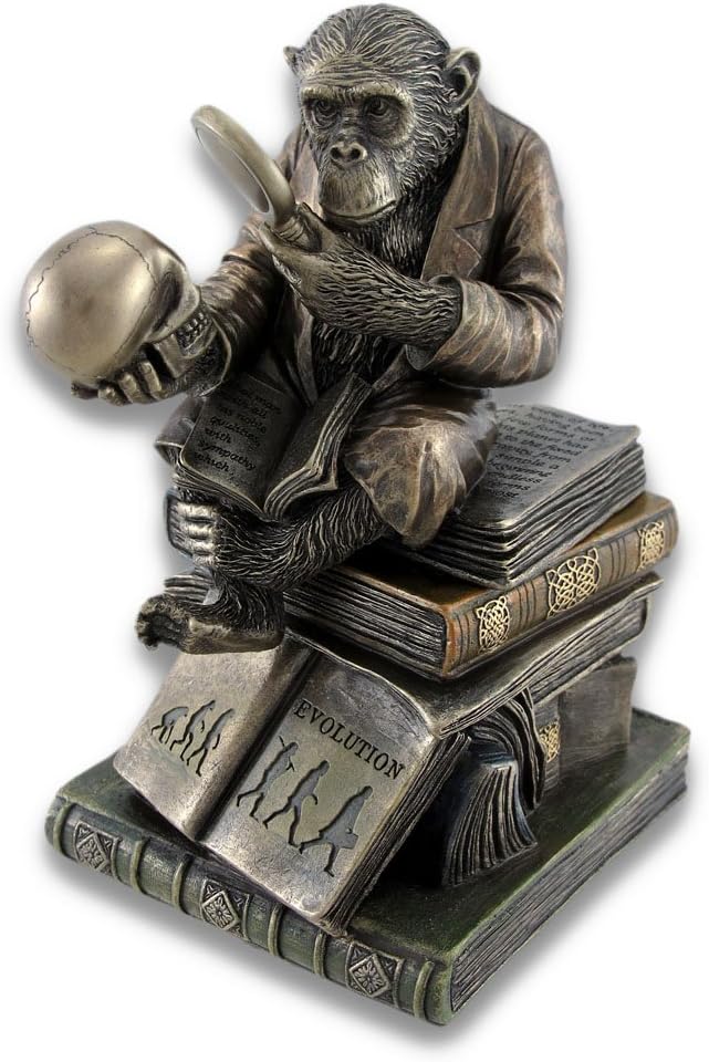 Smart Chimpanzee Scholar Trinket Box Stash Box