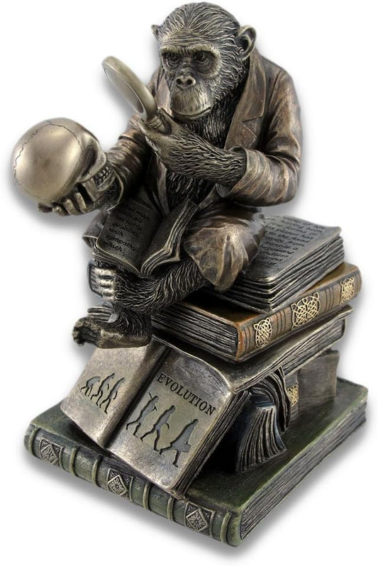 Smart Chimpanzee Scholar Trinket Box Stash Box