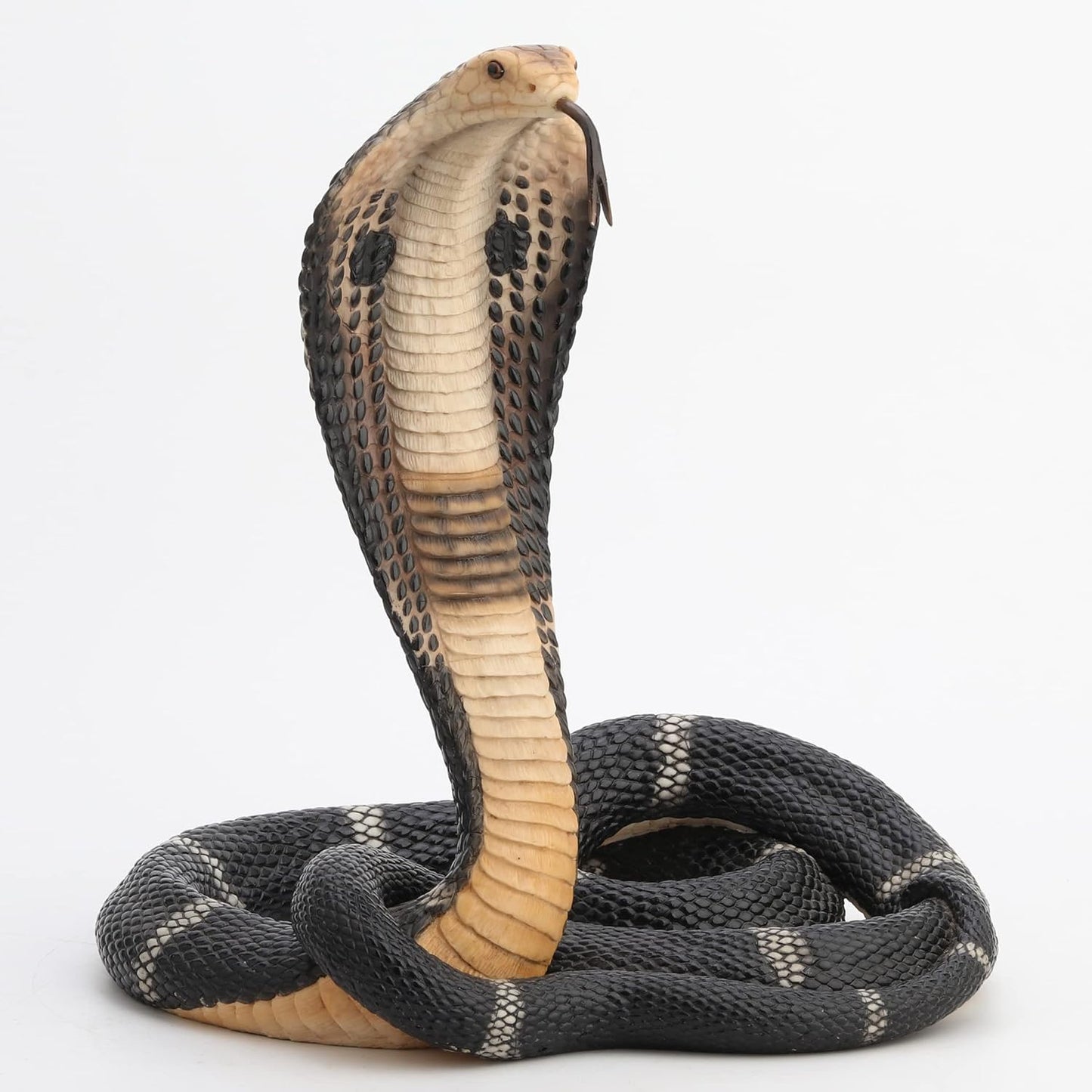 Coiled and Rearing King Cobra Sculptured Statue