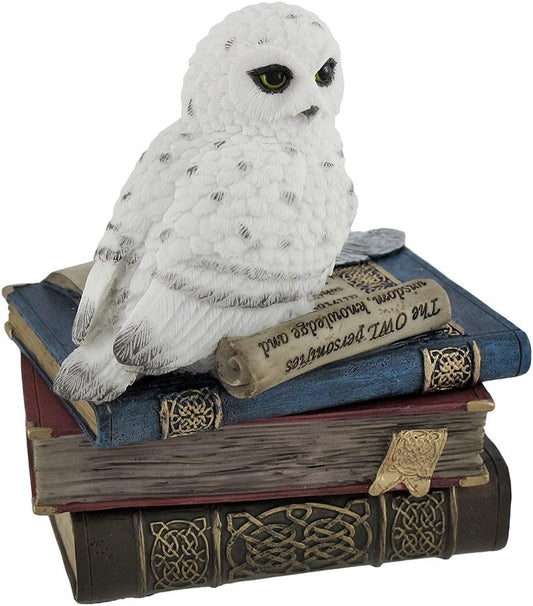 Wise Snow Owl Resting on Scholar`s Books Trinket Box