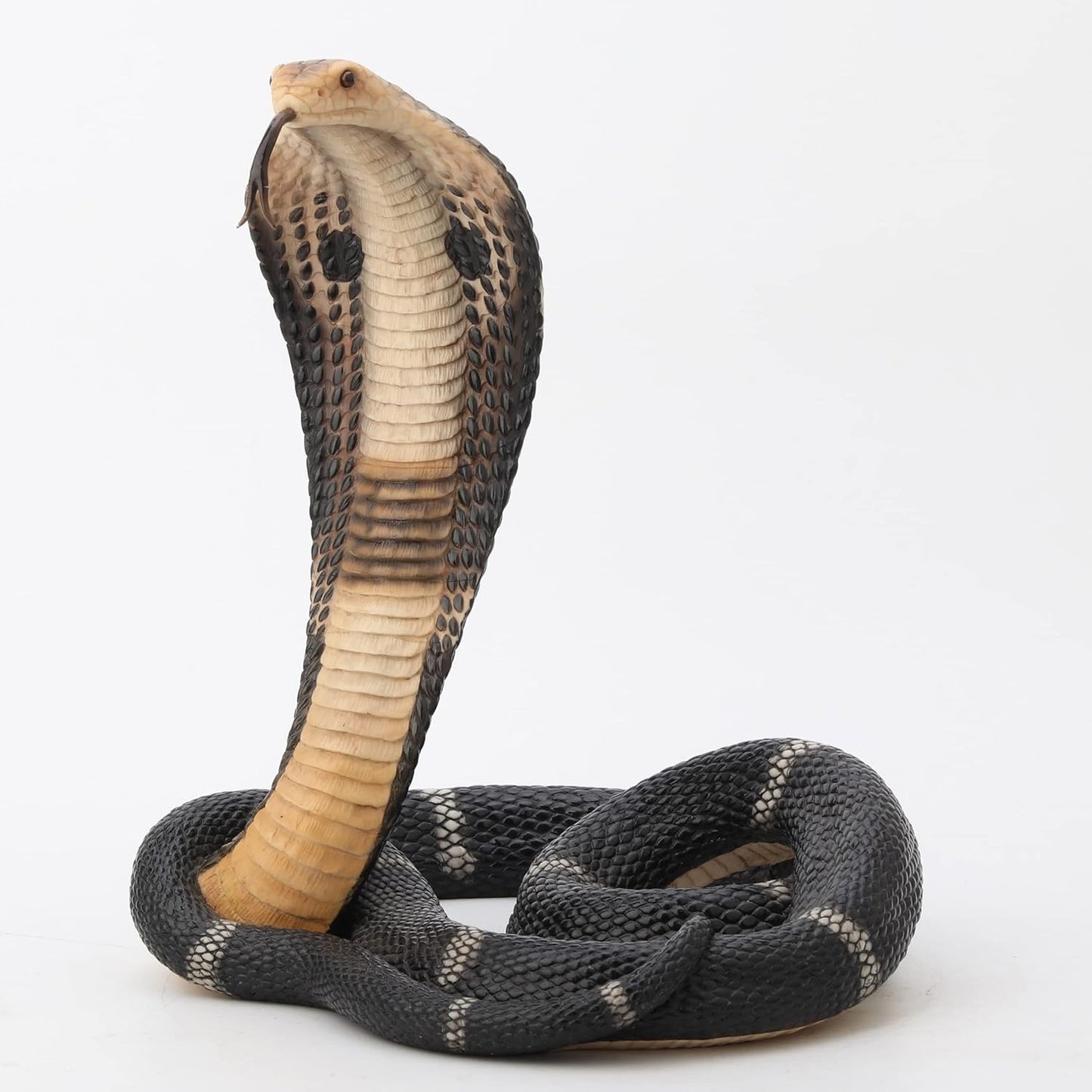 Coiled and Rearing King Cobra Sculptured Statue