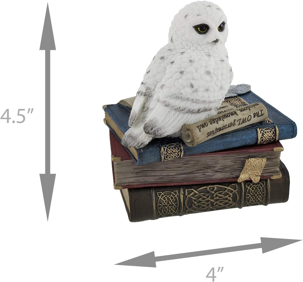 Wise Snow Owl Resting on Scholar`s Books Trinket Box