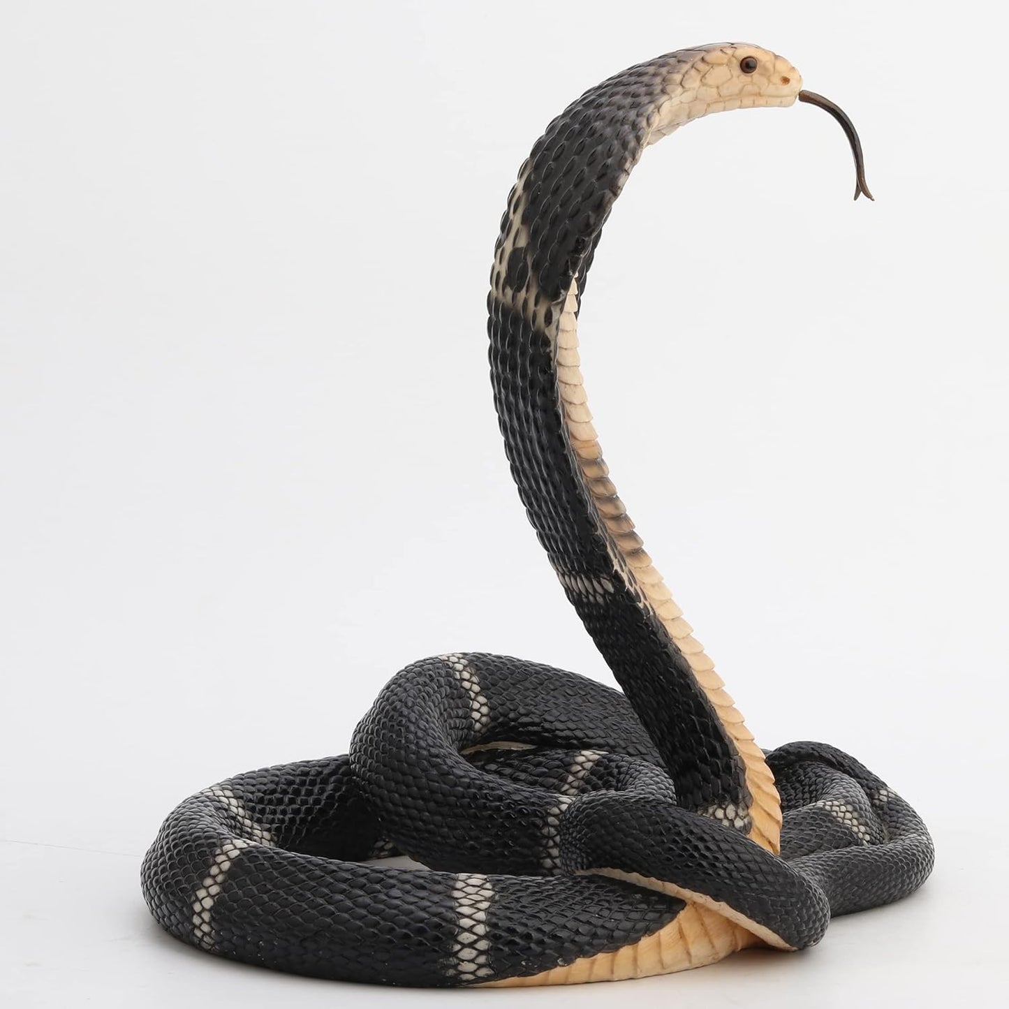 Coiled and Rearing King Cobra Sculptured Statue