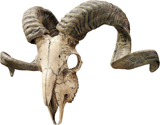 Design Toscano CL3377 Corsican Ram Skull and Horns Wall Sculpture Faux Taxidermy Animal, 45.75 cm, Polyresin, Full Color
