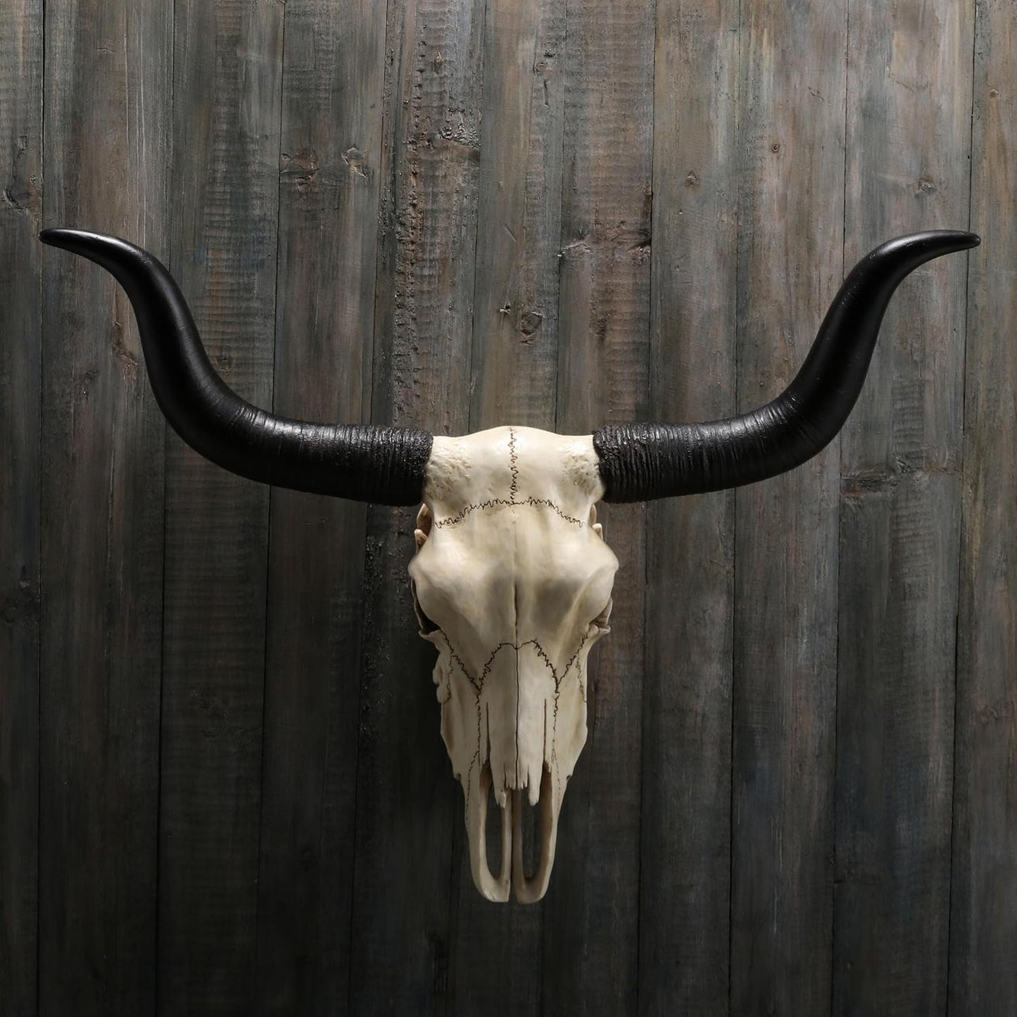 Veronese Design 14 Inch Long Horn Animal Skull Resin Wall Sculpture