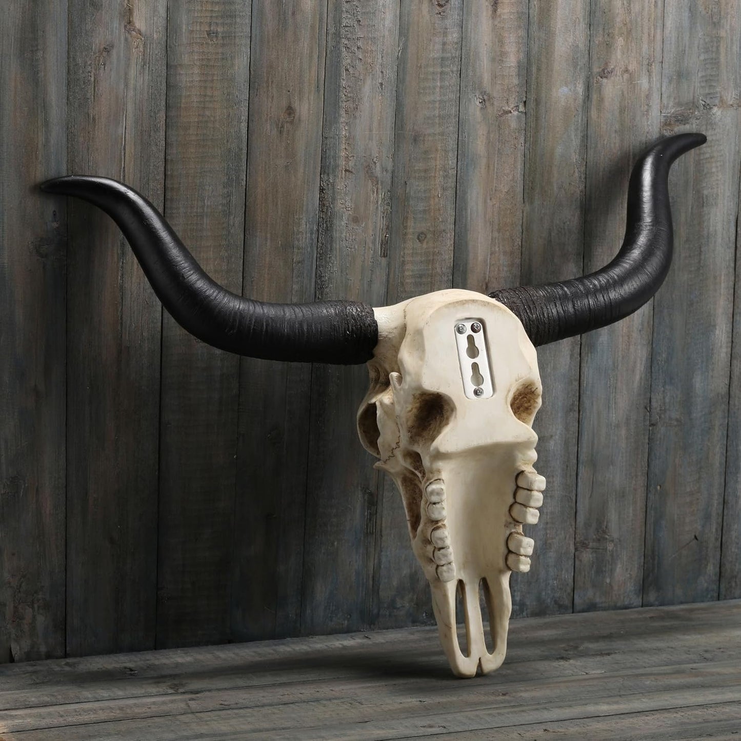 Veronese Design 14 Inch Long Horn Animal Skull Resin Wall Sculpture